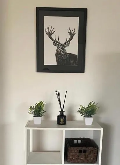 Stunning Double Bed Flat With Private Balcony & Free Parking Apartment London